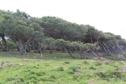 Terra Da Eira - Western Algarve Mit Glasfaser Fibra