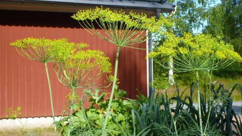 Hotel S�rbyn Turism & Konferens