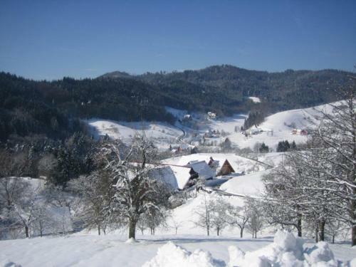 Apartamento Ferienhof Fischer