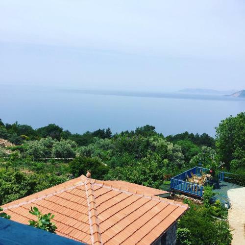 Hostal Faralya Yoruk Evi Hotel