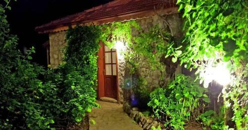 Hostal Faralya Yoruk Evi Hotel