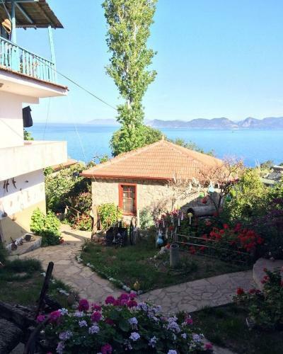 Hostal Faralya Yoruk Evi Hotel
