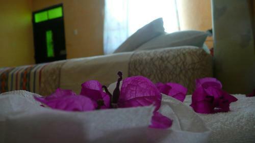 Albergue Maison Bougainvillea