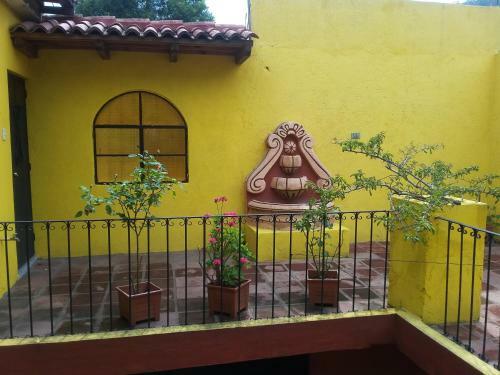 Albergue Maison Bougainvillea