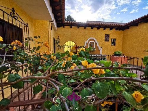 Albergue Maison Bougainvillea