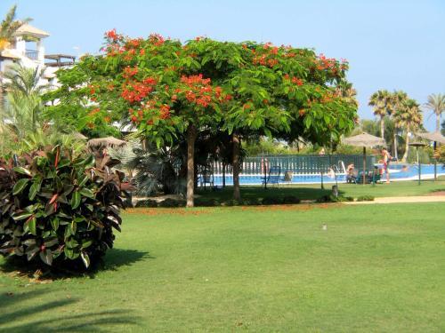 Apartamento Venavera Playa Jardines E1-1c