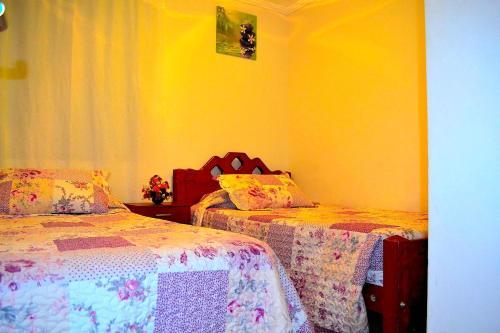 Apartamentos Alma Surire