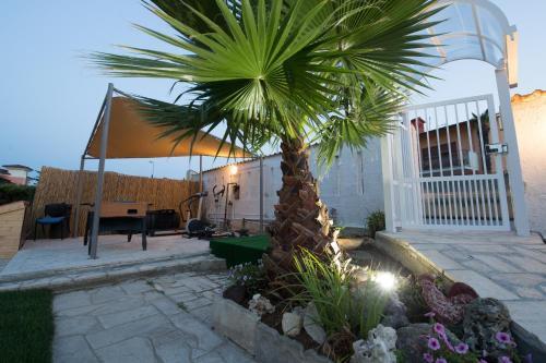 Bed & Breakfast Sapore Di Sale
