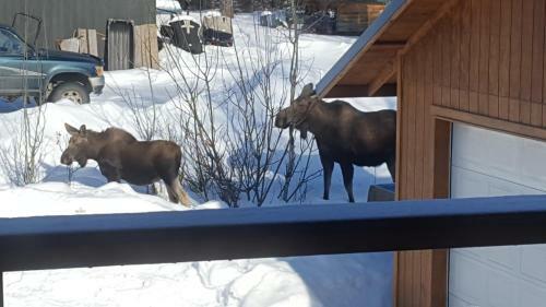 Southern Bluff Bed & Breakfast