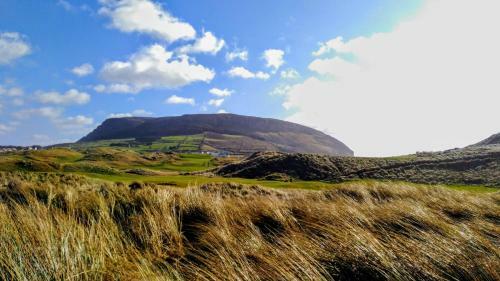 Bed & Breakfast Strandhill Lodge, Hostel & Surf
