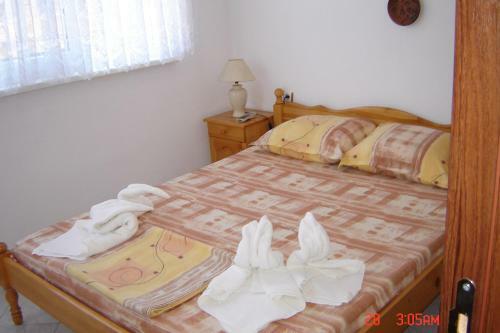 Hostal Kotva