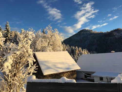 Farm Stay Hirschegg 222