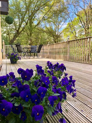 Bluebell Cottage With Hot Tub