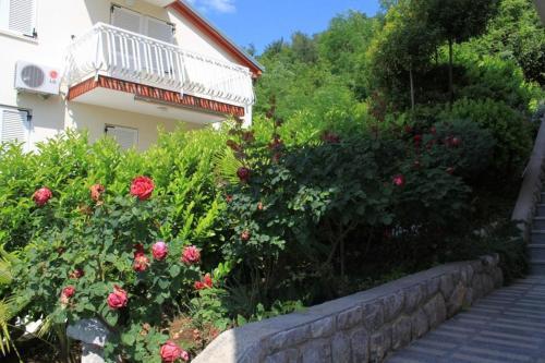 Hostal Studio Icici 7785a