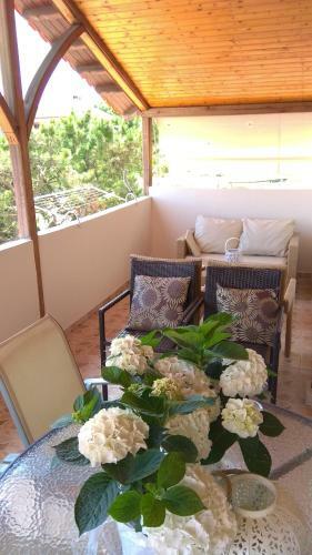 Koala Apartments Irida