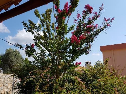 Villa Sotiriou