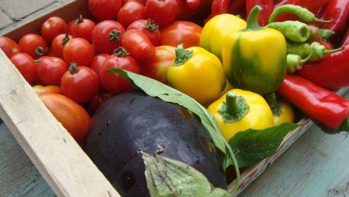 Agroturismo La Volpe E L'uva