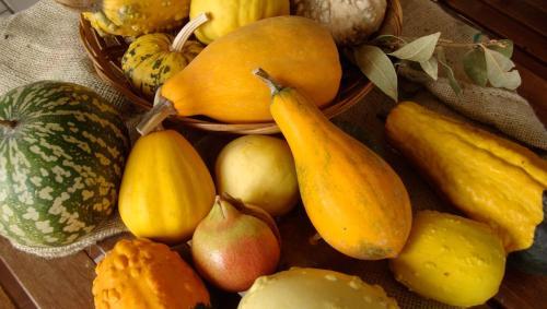 Agroturismo La Volpe E L'uva