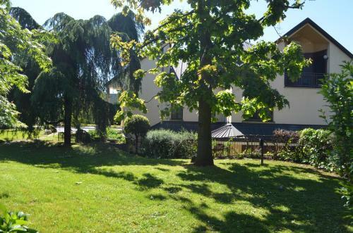 Bed & Breakfast Villa Olivares