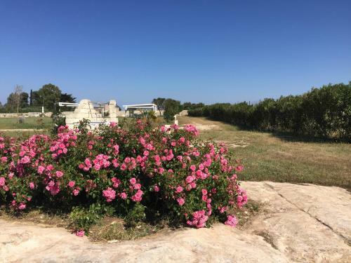 Masseria Gelsi B&B And Events