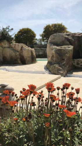 Masseria Gelsi B&B And Events