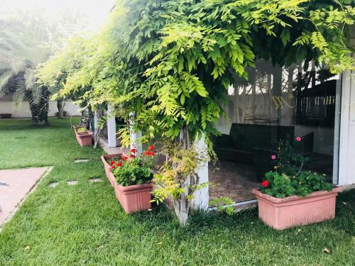 Hostal Masseria Nel Sole