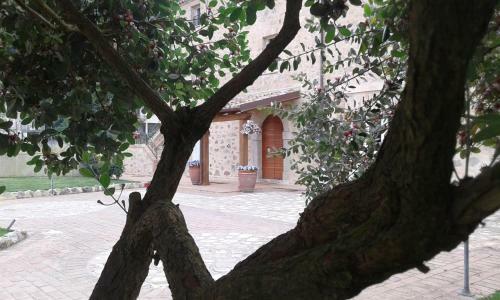 Bed & Breakfast Aia Antica