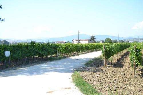 Agroturismo Agriturismo De Luca