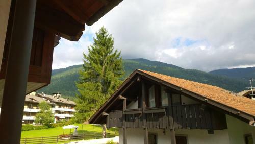 Apartamento Appartamento Felce