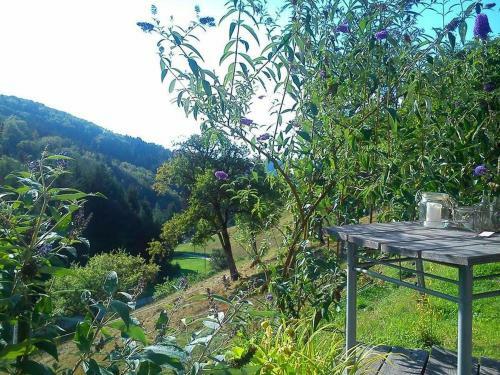 Apartamento Mittlerer K�lblinshof