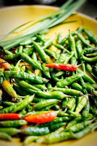 Bed & Breakfast Blues & Chutney Country