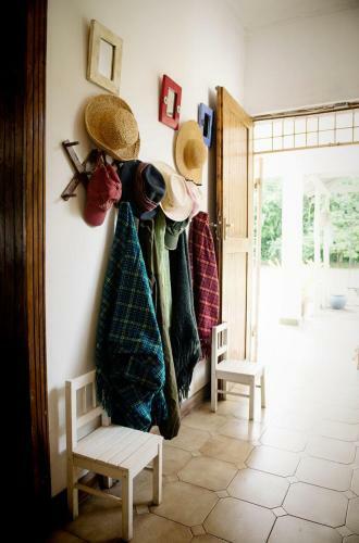 Bed & Breakfast Blues & Chutney Country