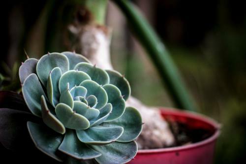 Siete Hierbas Hostal