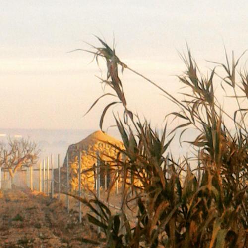 Bed & Breakfast Le Anfore Del Salento