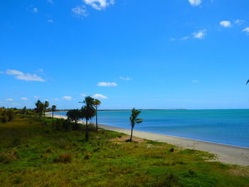 Tropic Of Capricorn - Hostel