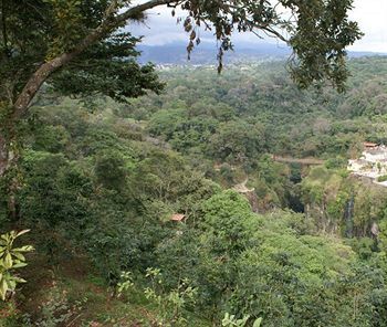 Hotel Finca Santa Rosa