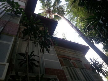 Albergue Alto Lapa House