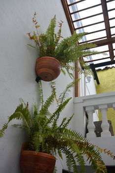 Friend's Hostel