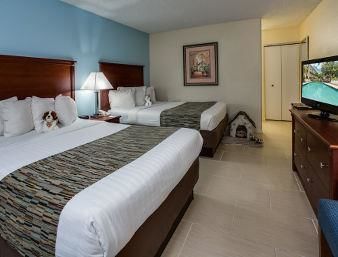Hotel Baymont Inn And Suites Gainesville