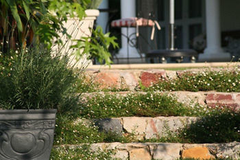 Bed & Breakfast Burkleigh House