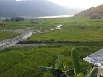 Hotel Bishnu Homestay