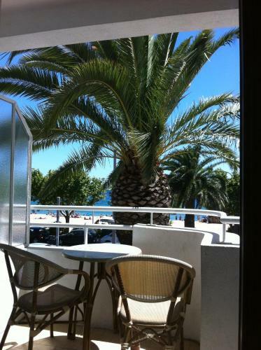 Hotel Les Palmiers