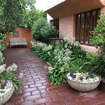 Bed & Breakfast Orewa Beachside