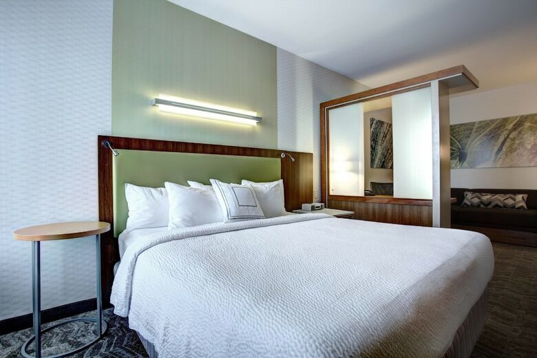 Hotel Springhill Suites By Marriott Harrisburg