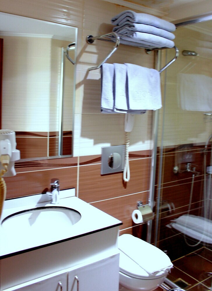 Hotel B�y�k Paris