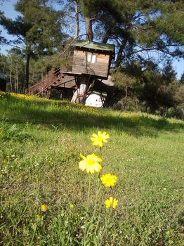 Hotel Olympos Woods - Adults Only