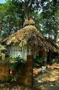 Saraya Art Cafe Bed And Breakfast