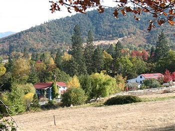 Bed & Breakfast Country Willows Inn