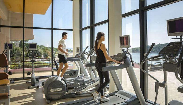 All Suite Island Hotel Istra