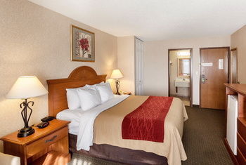 Hotel Comfort Inn Lexington